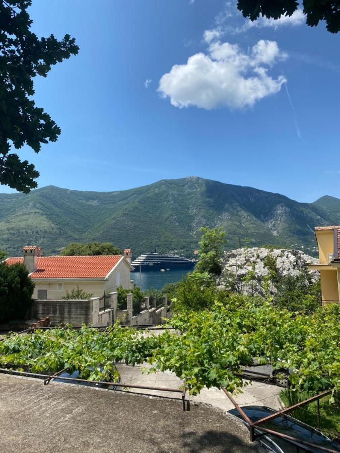 Vasiniko Apartment Kotor Extérieur photo